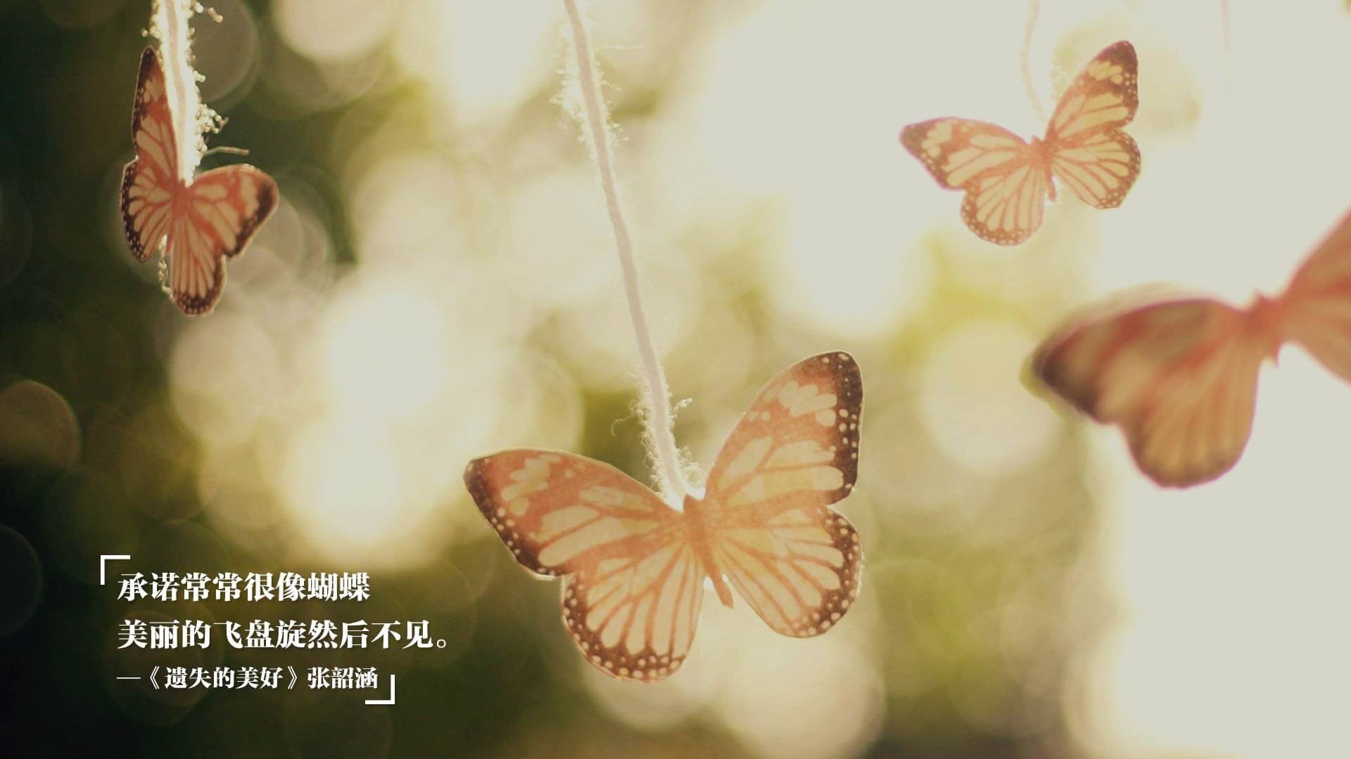 唯一性的光芒，加拿大打穿新西兰的启示与奥利维耶的舞台传奇