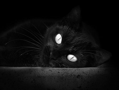 沙漠风暴中的逆袭史诗,巴雷拉一记惊雷,唤醒巴拉圭沉睡的斗魂