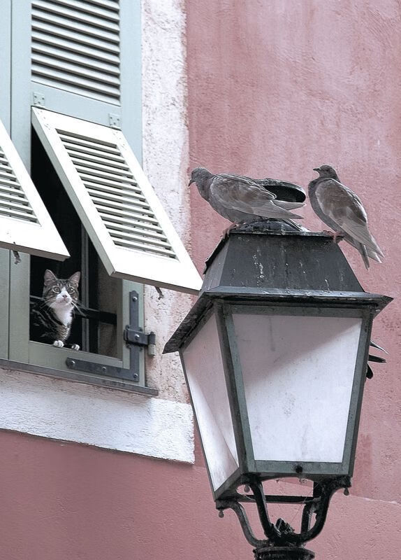 切分胜负线,当骑士与山西的棋局落于一子之手