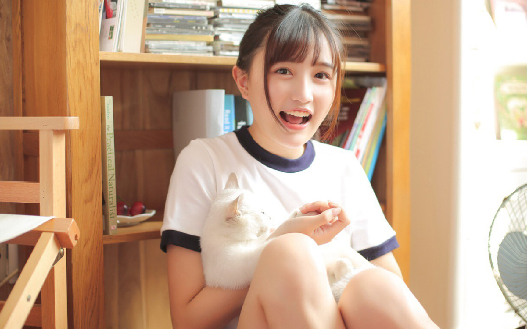 当喀麦隆雄狮踏入梅阿查，奥斯梅恩的节奏独裁