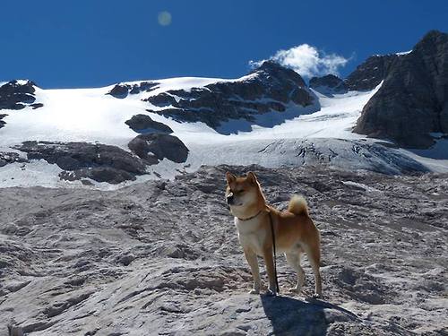 布伦森化身收割机，尼克斯终结新疆队的黄金时代