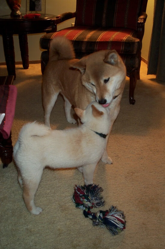 铁笼与飞翼，当英格兰的体系足球遭遇迪马利亚的灵光一现