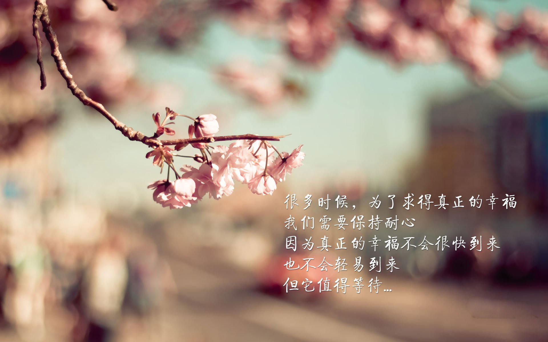 黄喜灿的利刃，当塞维利亚的巨轮撞上韩国暗礁