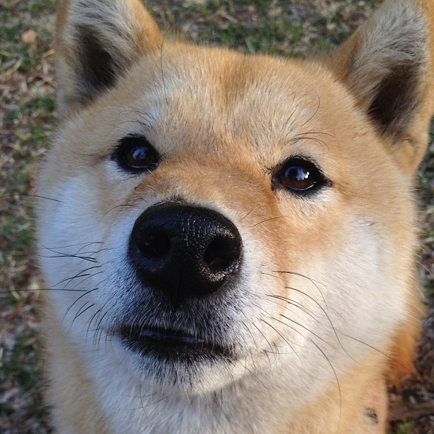 唯一的关键先生，当步行者速胜雷霆，贝恩在圣西罗接管比赛