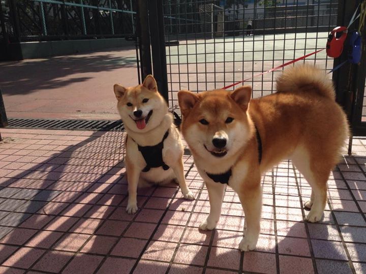 虚构边界，当德布劳内在阿根廷vs乌克兰中写下唯一剧本