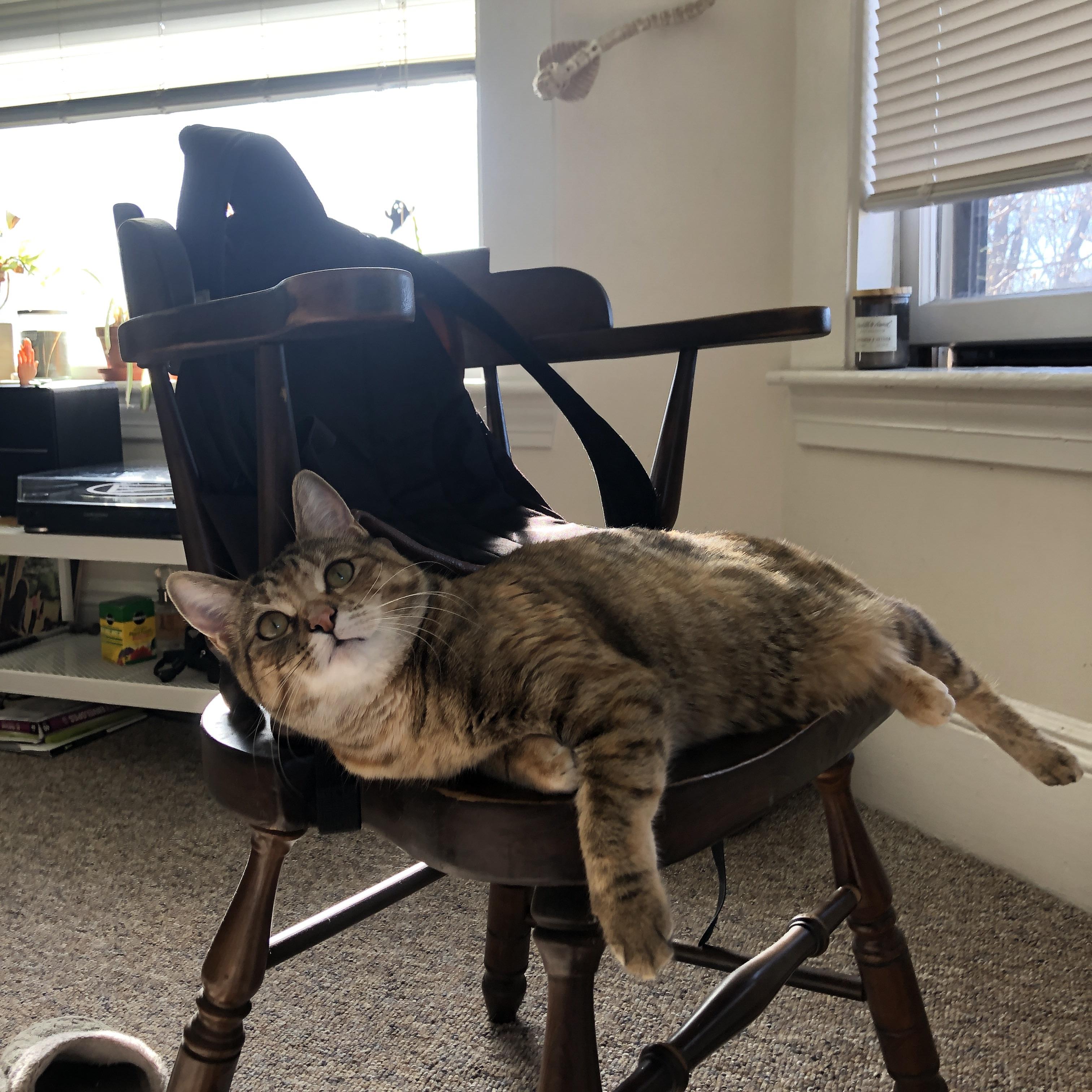 开云sport-终场哨响前