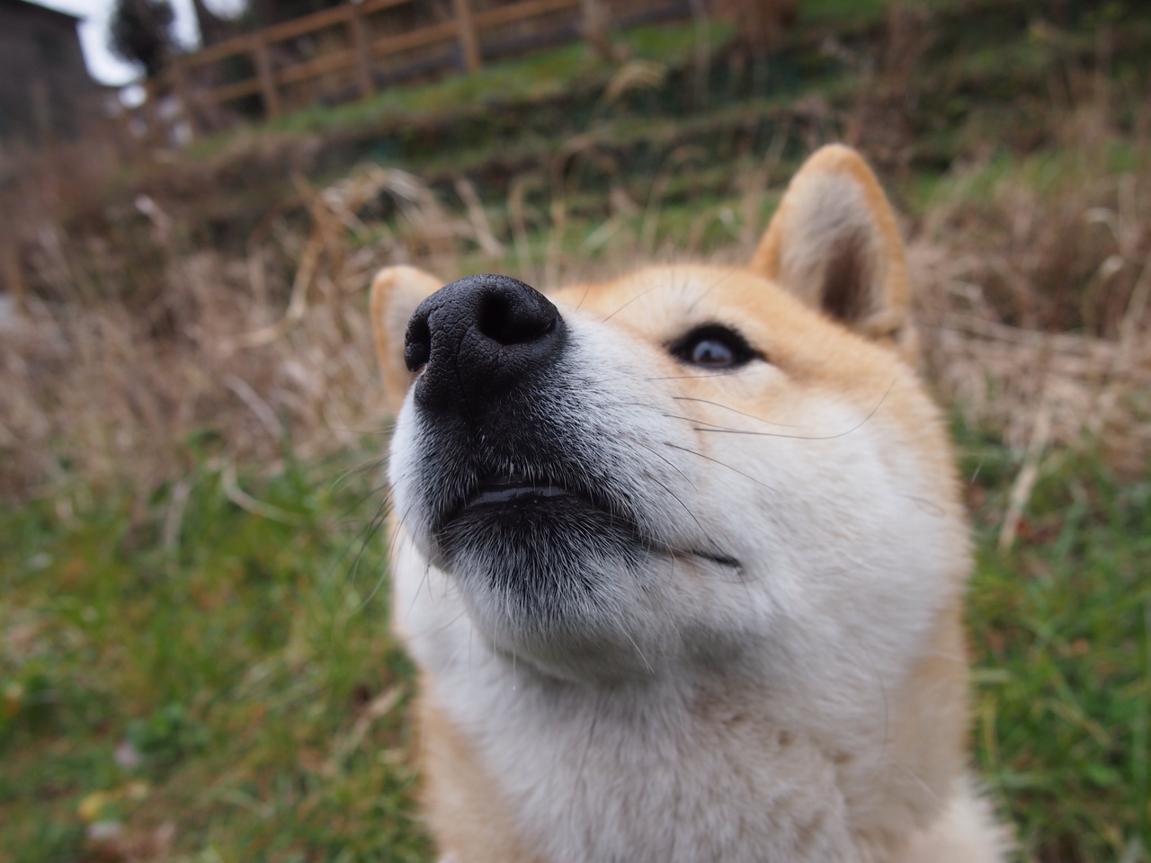 构思
