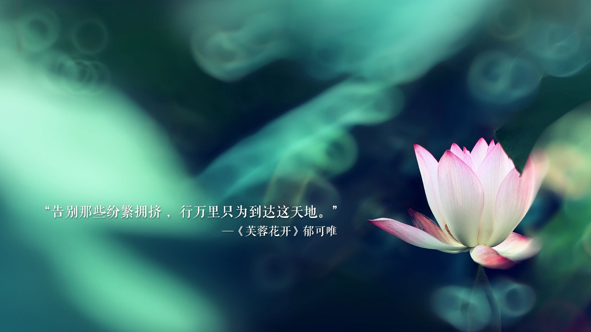 猎狮人的失败剧本，2026世界杯出线战，维尼修斯领衔喀麦隆，用安哥拉式的狡黠击碎北欧童话