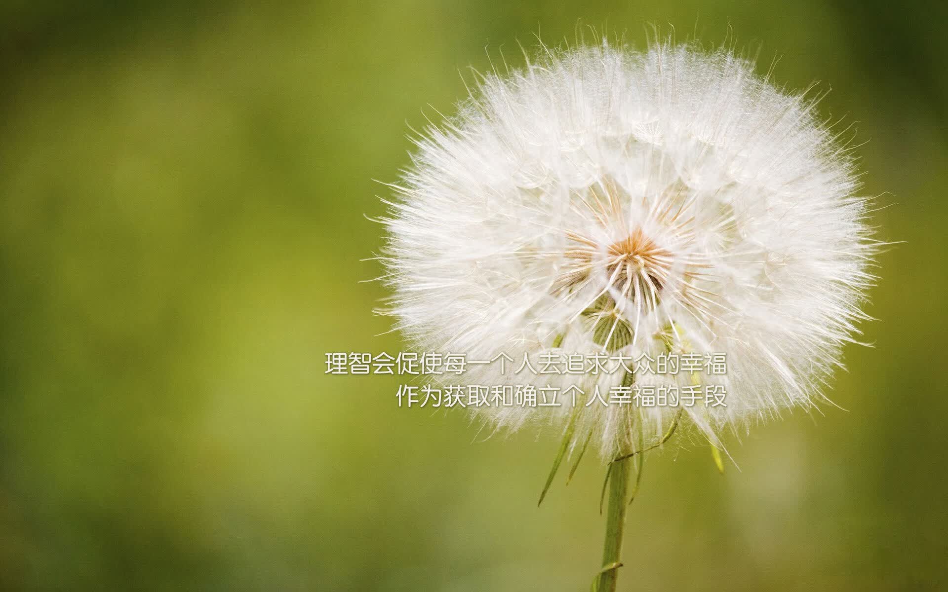 黑星闪耀,加维引领完美风暴—加纳完胜塞尔维亚,默契配合定义世界杯经典